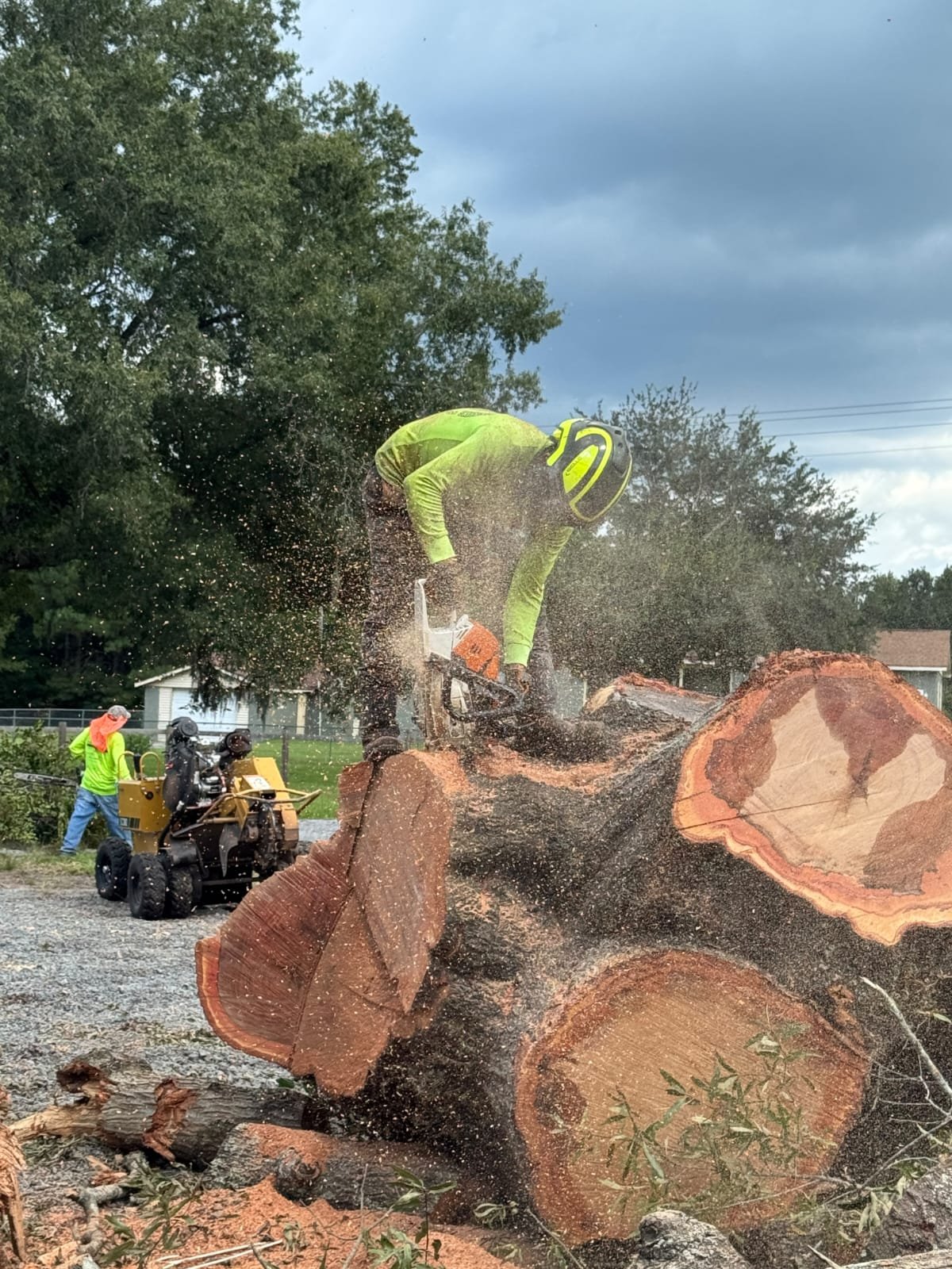 Lion Tree Service and Landscaping LLC project photo 56